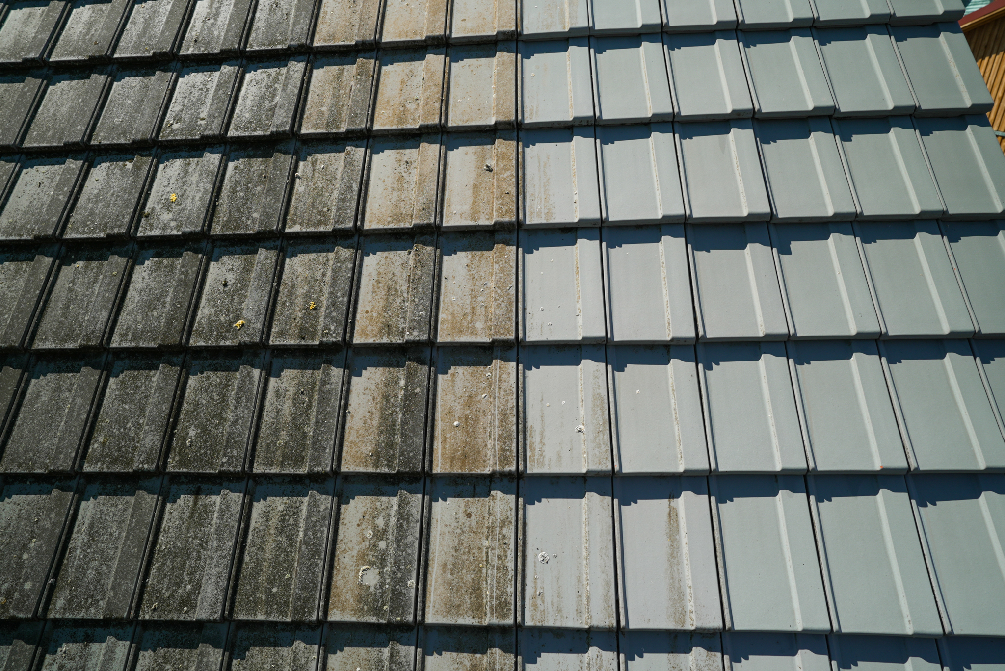 FrühaufDachreinigung-09